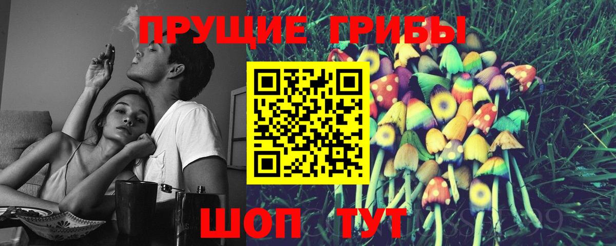 Псилоцибиновые грибы мухоморы Звенигород